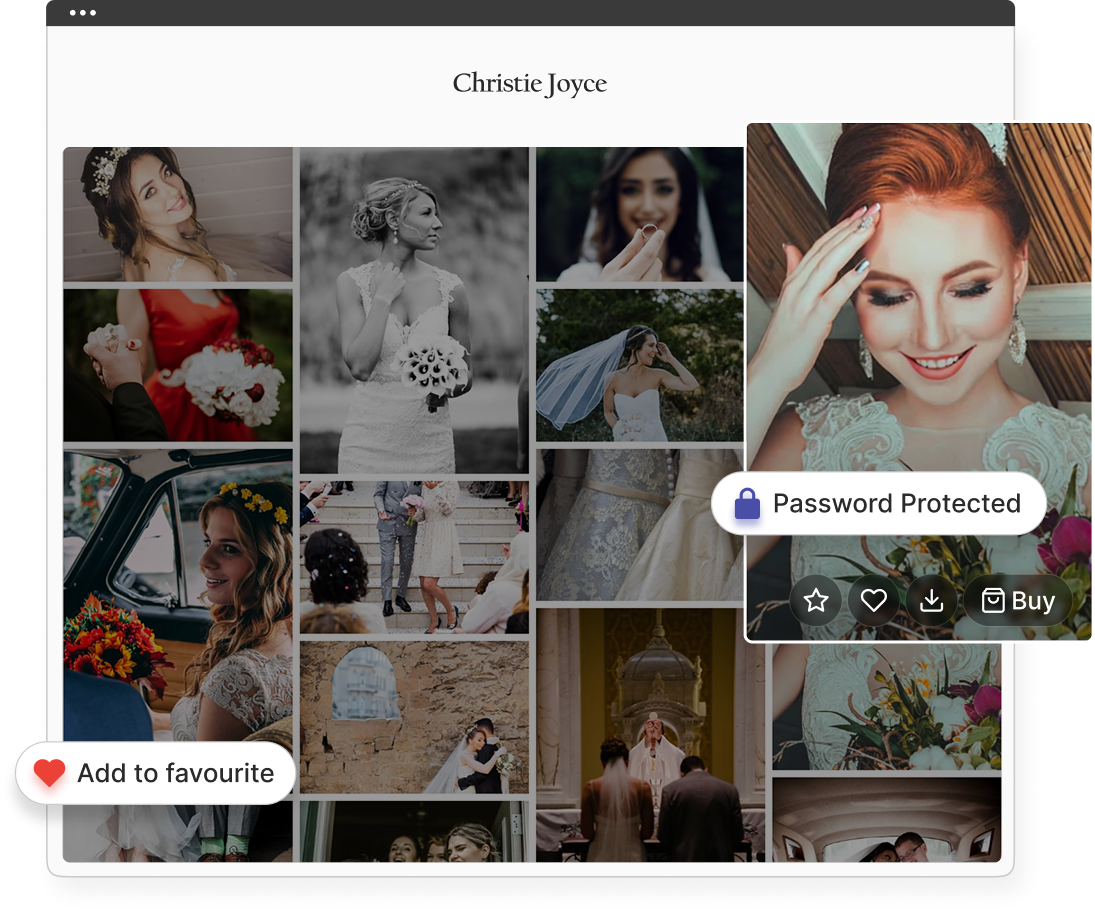 Deliver photos to clients in a branded online gallery