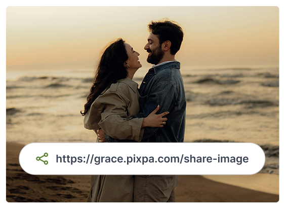 Share the gallery link